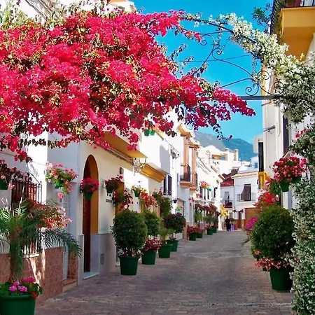 Luxurious South-facing 2 Bdr Penthouse Vanian Gardens With Seaview - Gaya Alegia I