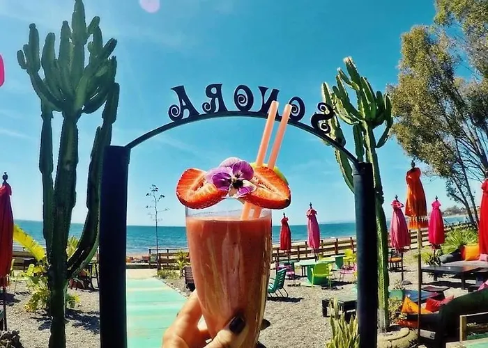 Luxurious South-facing 2 Bdr Penthouse Vanian Gardens With Seaview - Gaya Alegia I Appartement Estepona