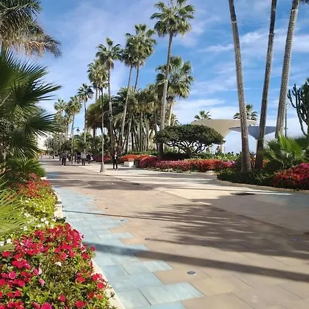 Luxurious South-facing 2 Bdr Penthouse At Vanian Gardens With Seaview - Gaya Alegria I Apartamento *